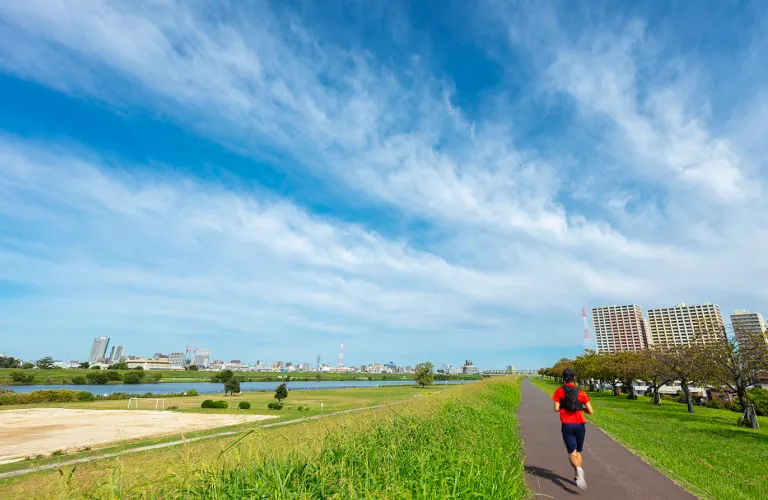 江戸川河川緑地・サイクルロードの写真＃江戸川河川緑地・サイクルロード（約1,300m／徒歩17分）＃　