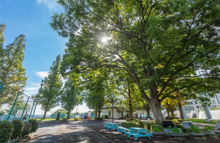 国府台公園の写真＃国府台公園（約1,850m／徒歩24分）＃　