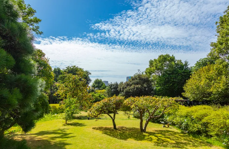 芳澤ガーデンギャラリーの写真＃芳澤ガーデンギャラリー（約1,160m／徒歩15分）＃　