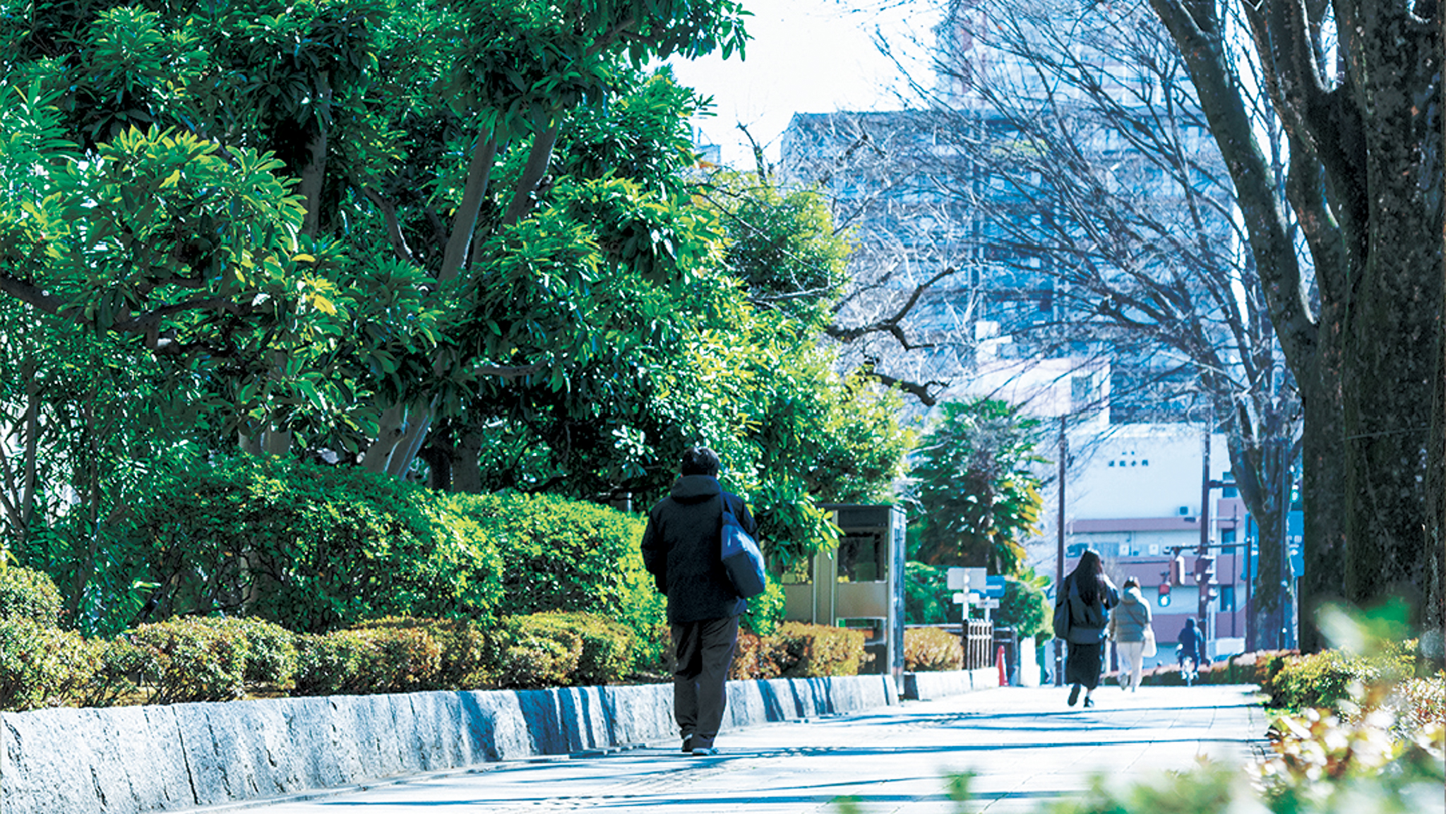 県庁通りの画像