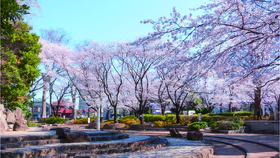 調公園の画像