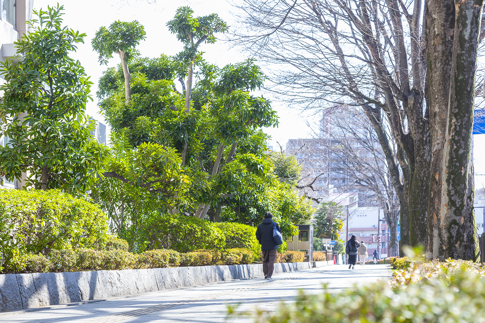 県庁通り
