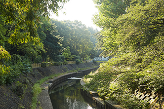 善福寺川緑地（約1.8㎞※E ～ 約3.6㎞※E）