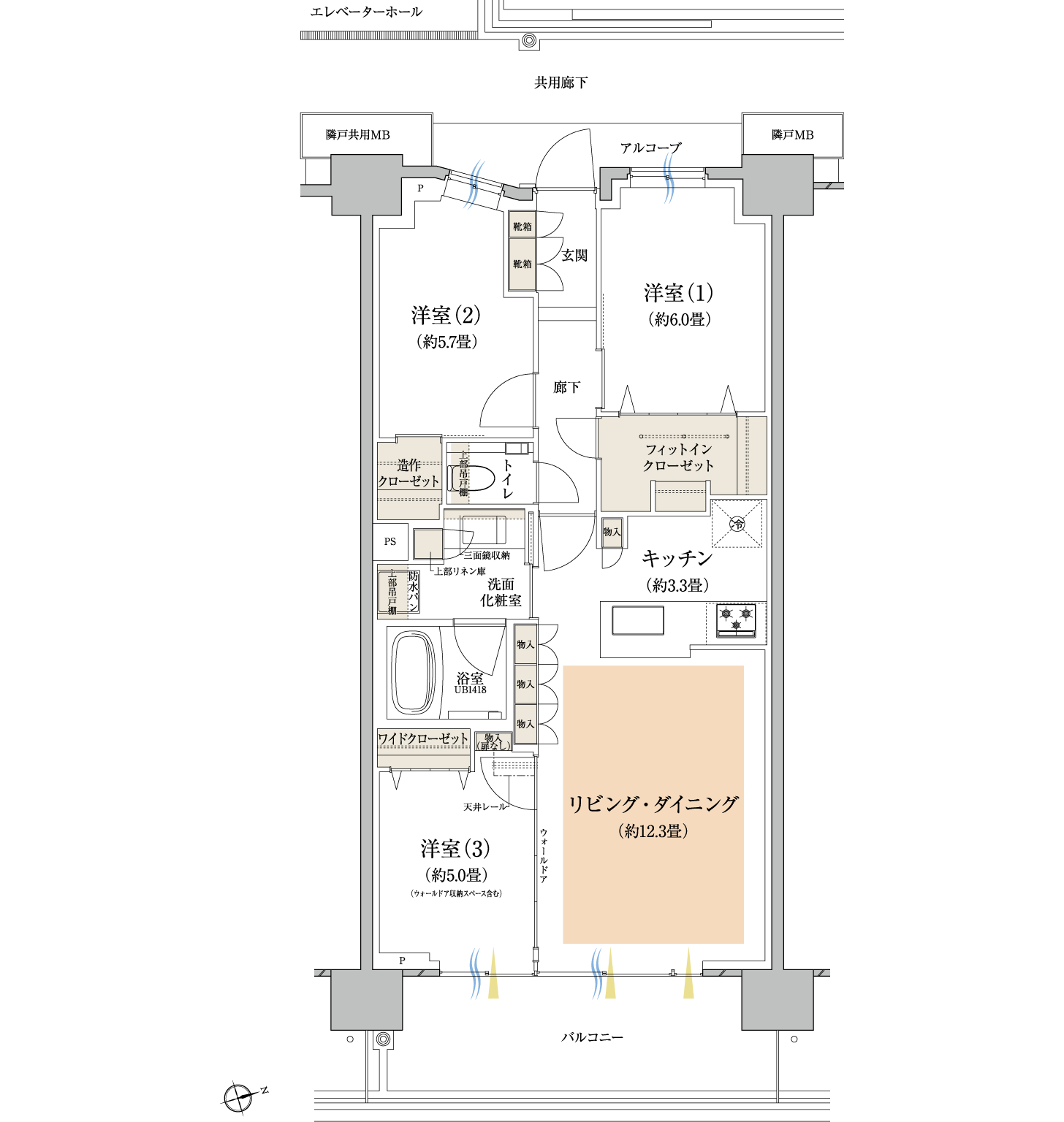 D6 TYPE