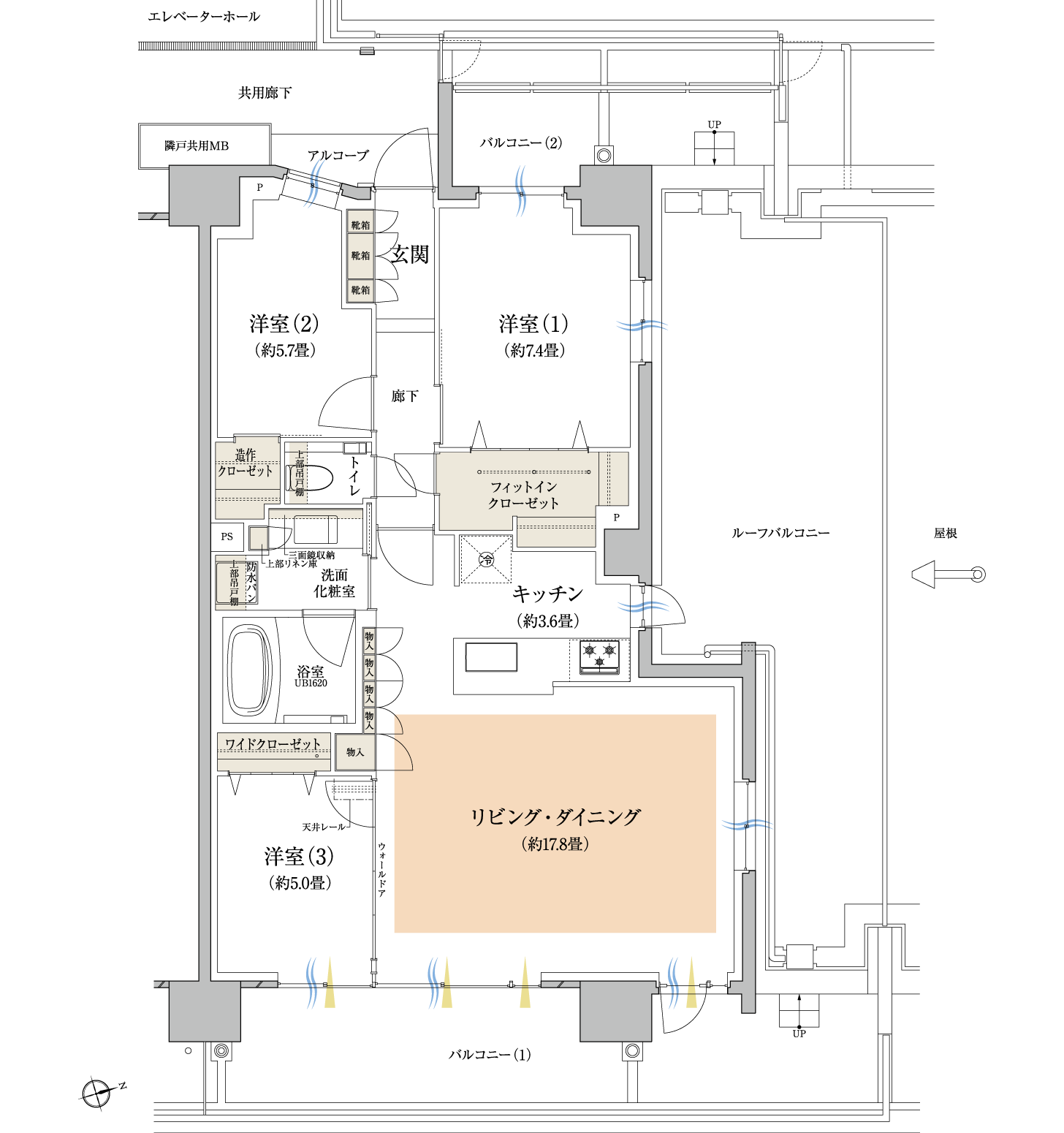 D6r TYPE