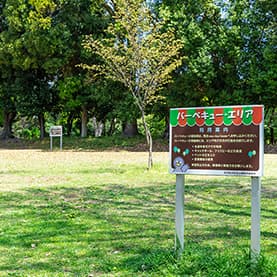 バーベキューエリア