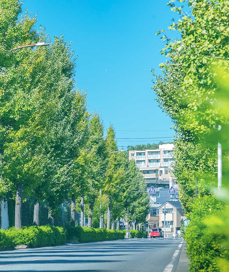 現地周辺の街並(徒歩11分/約820m)