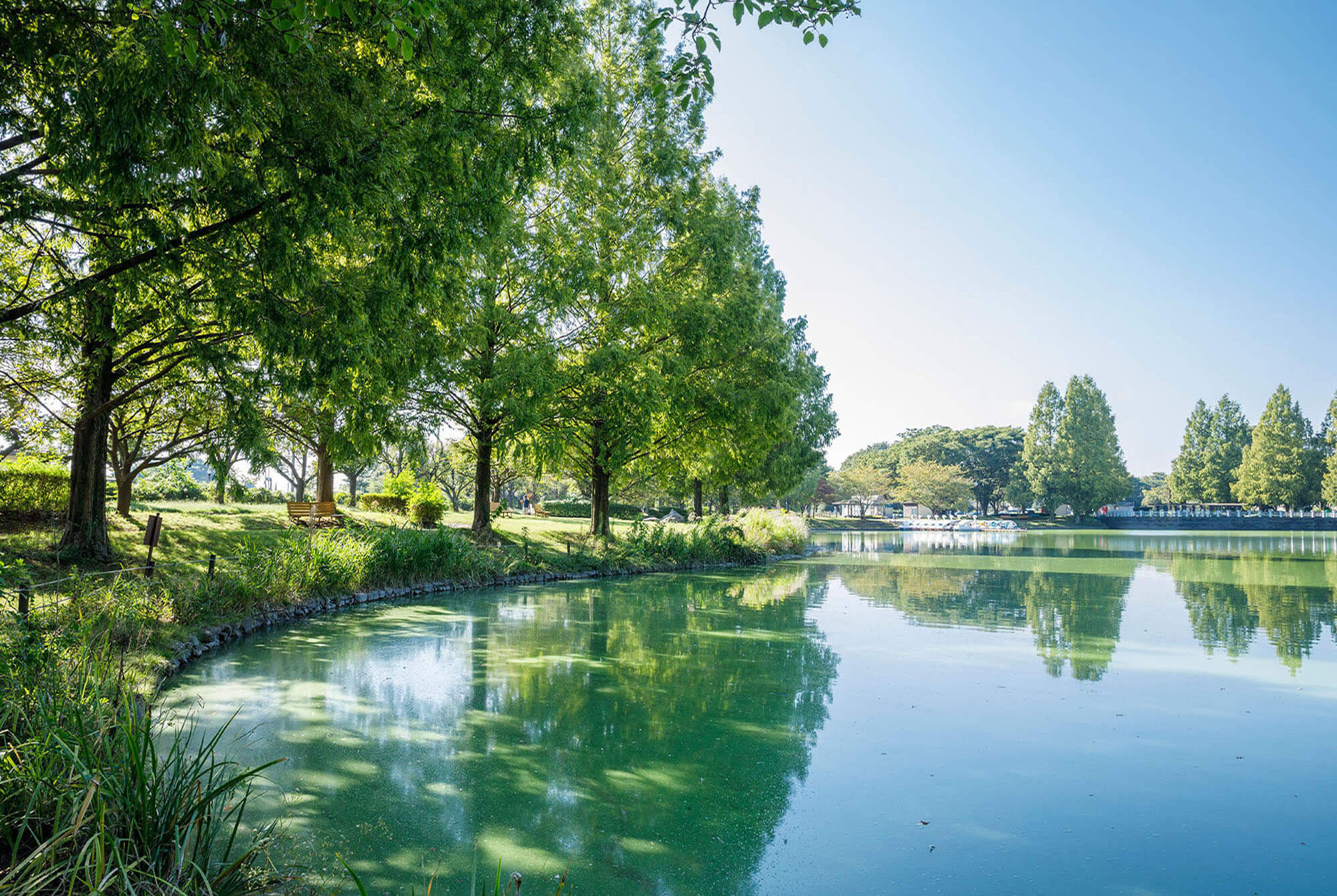 川越公園（川越水上公園）