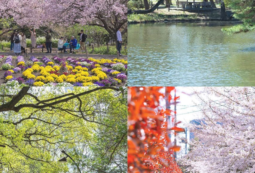 蘆花恒春園(徒歩10分)