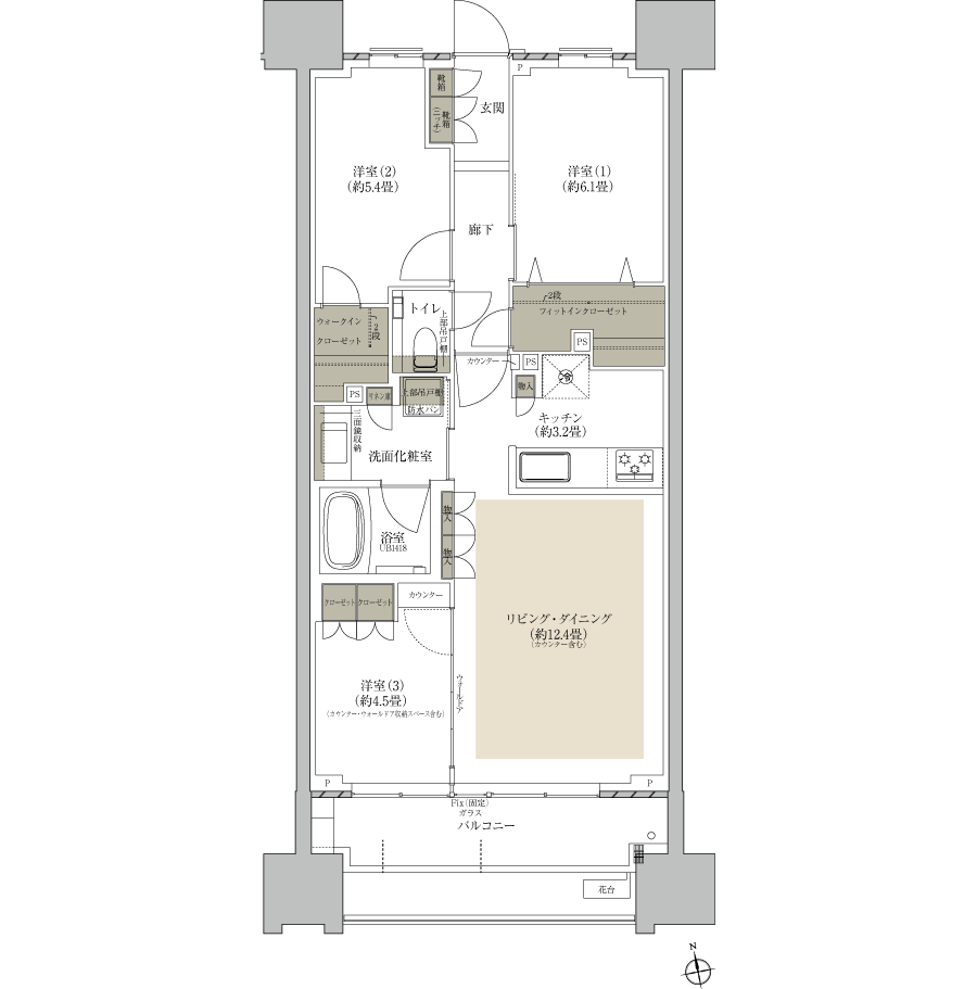 C TYPE