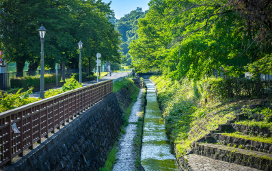大河原公園周辺の小川(徒歩11分/約870m)