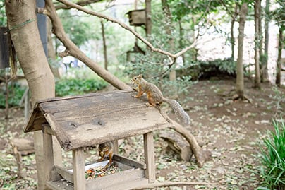 井の頭自然文化園