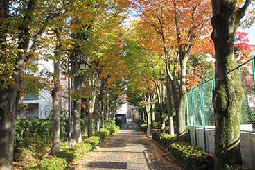 参考写真（撮影年月日/2022年11月7日）