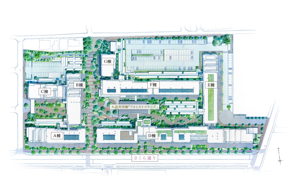 敷地配置イラスト