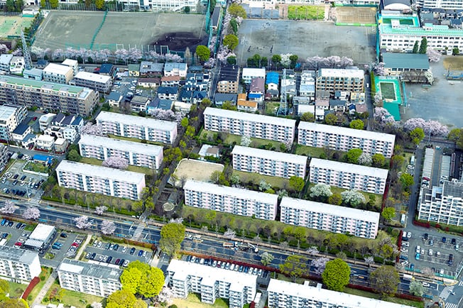 参考写真（撮影年月日/2023年3月29日）