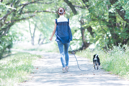 ペット足洗い場