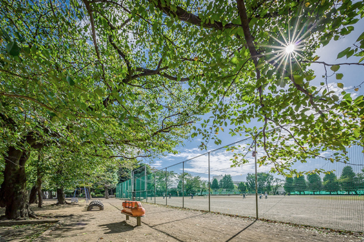 谷保第三公園（徒歩7〜10分/約530〜800m）