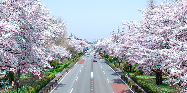 大学通り（徒歩4〜8分/約260〜640m）