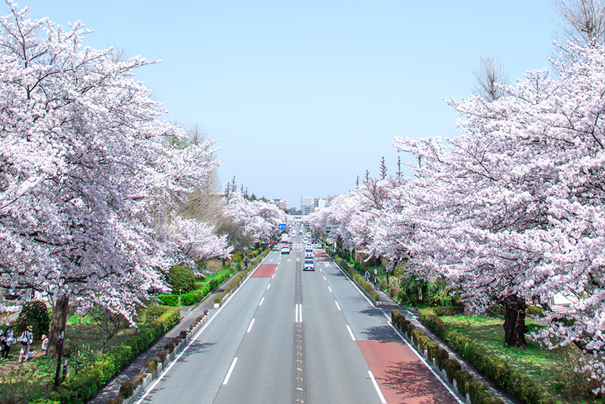 大学通り（徒歩4〜8分/約260〜640m）