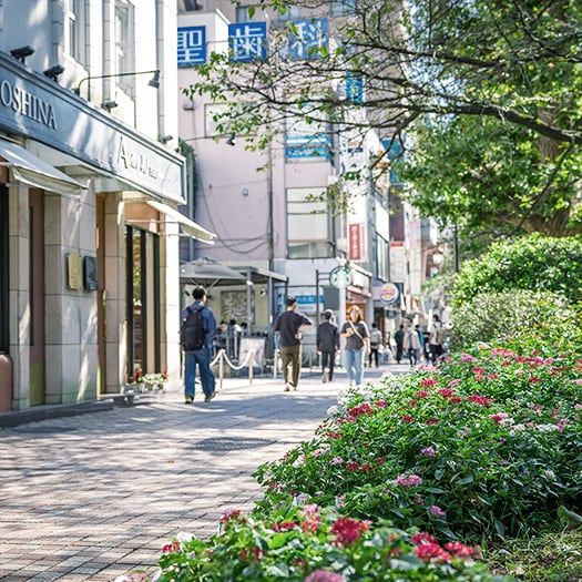大学通り（徒歩4〜8分/約260〜640m）