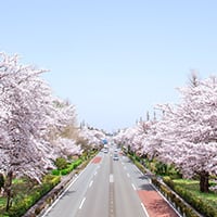 大学通り（徒歩4〜8分/約260〜640m）