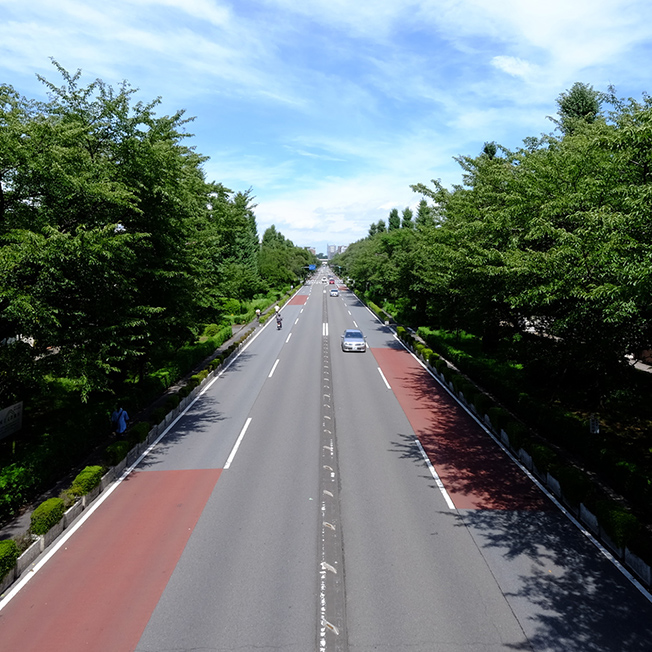 大学通り（徒歩4〜8分/約260〜640m）