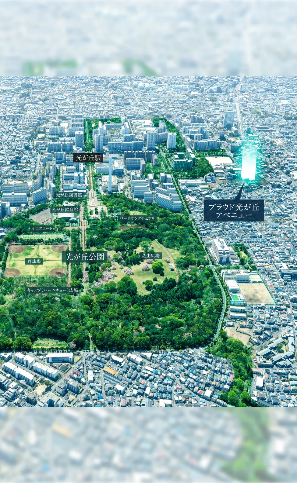 光が丘公園の全体写真