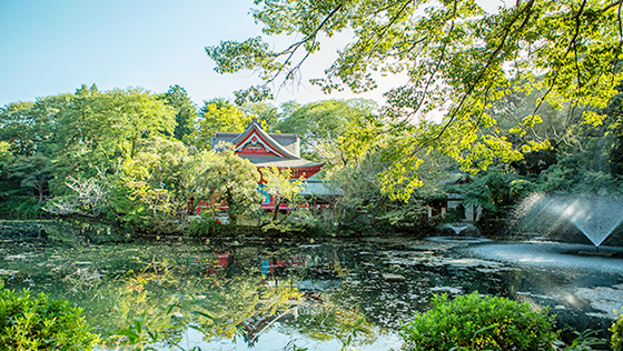 井の頭恩賜公園 写真
