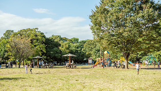 井の頭恩賜公園 西園 写真