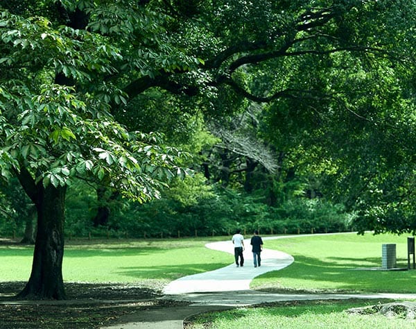 砧公園（自転車10分／約2,040ｍ）