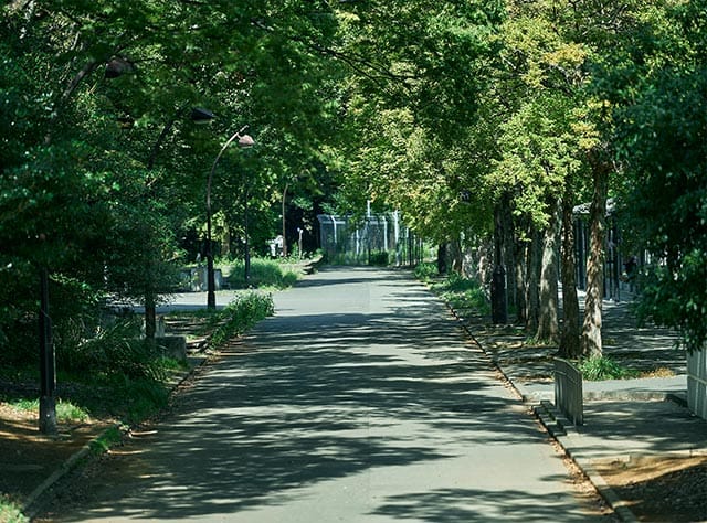 駒沢オリンピック公園（自転車10分／約2,150m）