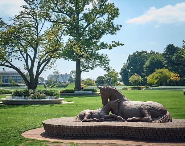 JRA馬事公苑（徒歩11分／約870m）