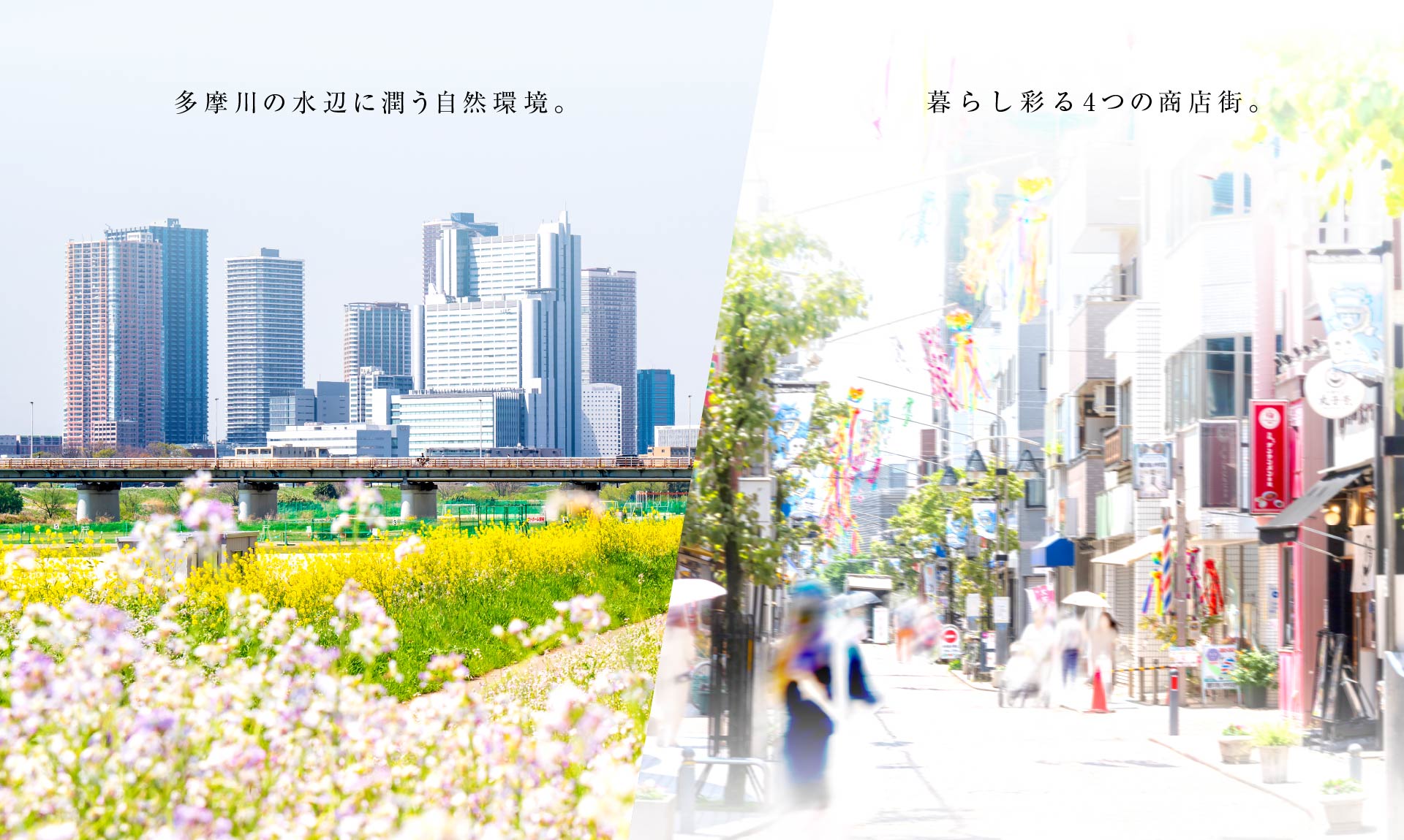 「多摩川の水辺に潤う自然環境。」image photo／「暮らし彩る4つの商店街。」イダイモールの写真