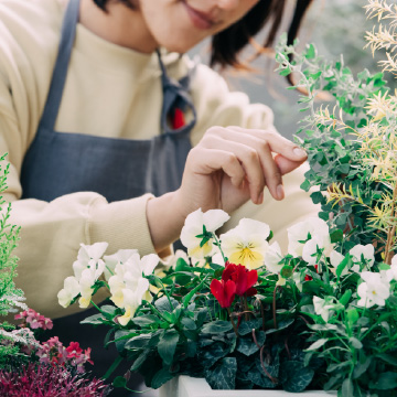 ガーデニングの image photo