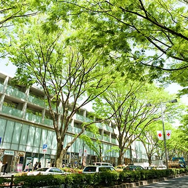 OMOTESANDO image photo