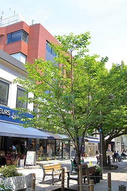 JIYUGAOKA image photo