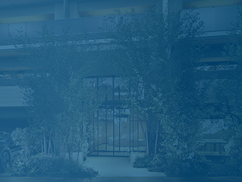 エントランスアプローチ完成予想CG