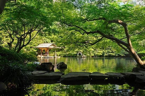 八芳園 撮影写真