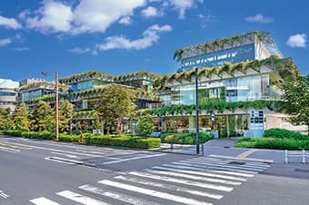 マロニエコート（提供写真）（約1,490m／徒歩19分）