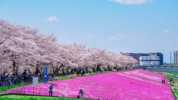 新荒川大橋緑地（約610m／徒歩8分）