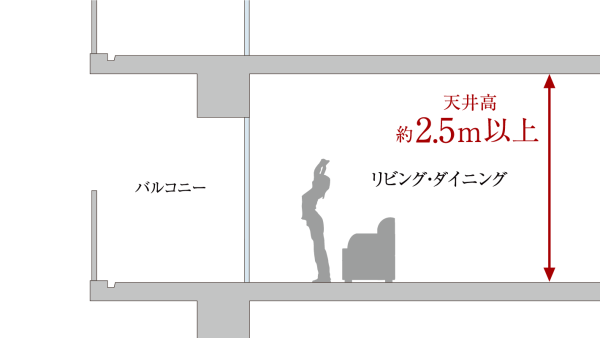 概念図