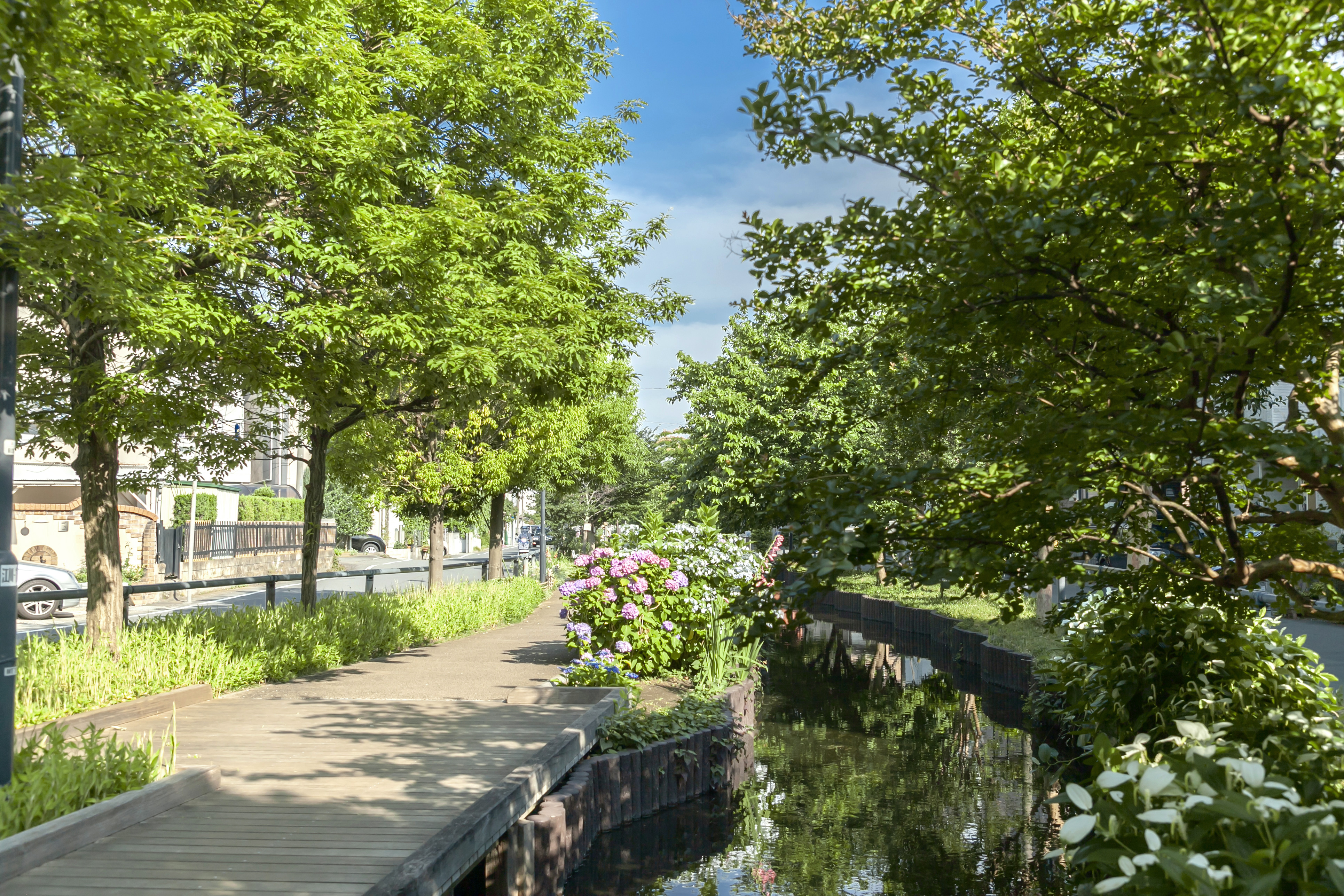 江川せせらぎ遊歩道（約1,080m/徒歩14分）