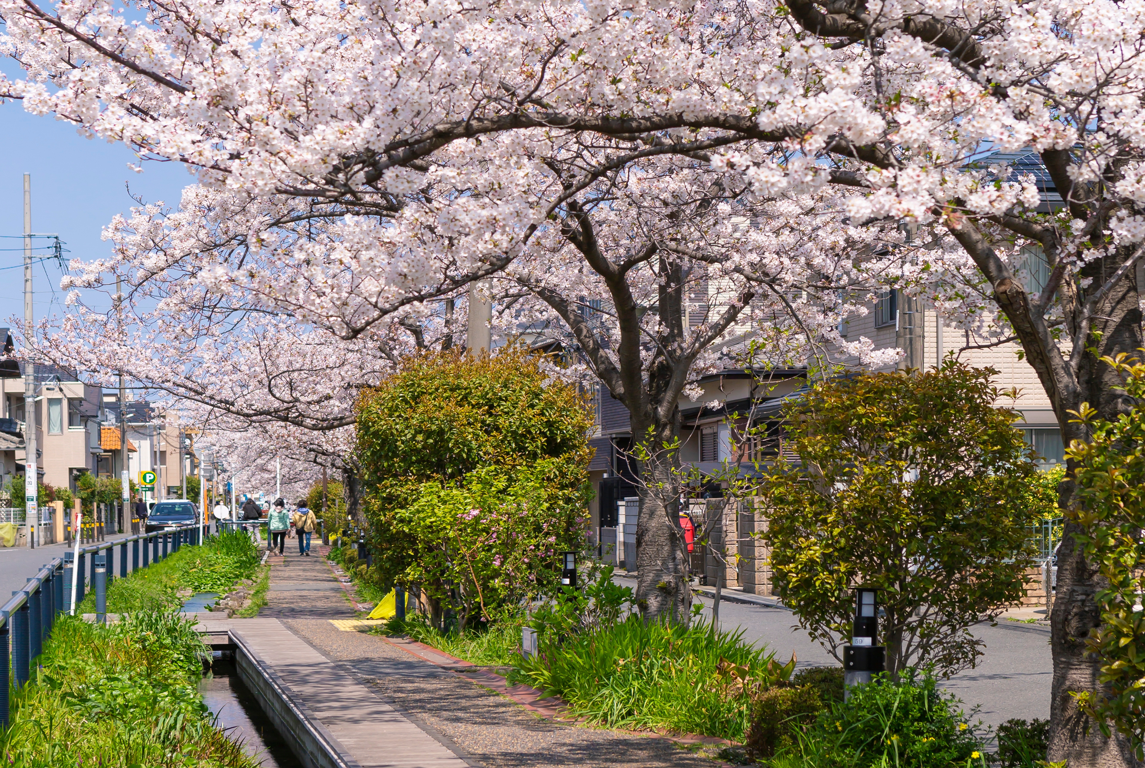 江川せせらぎ遊歩道（約1,060m／徒歩14分）