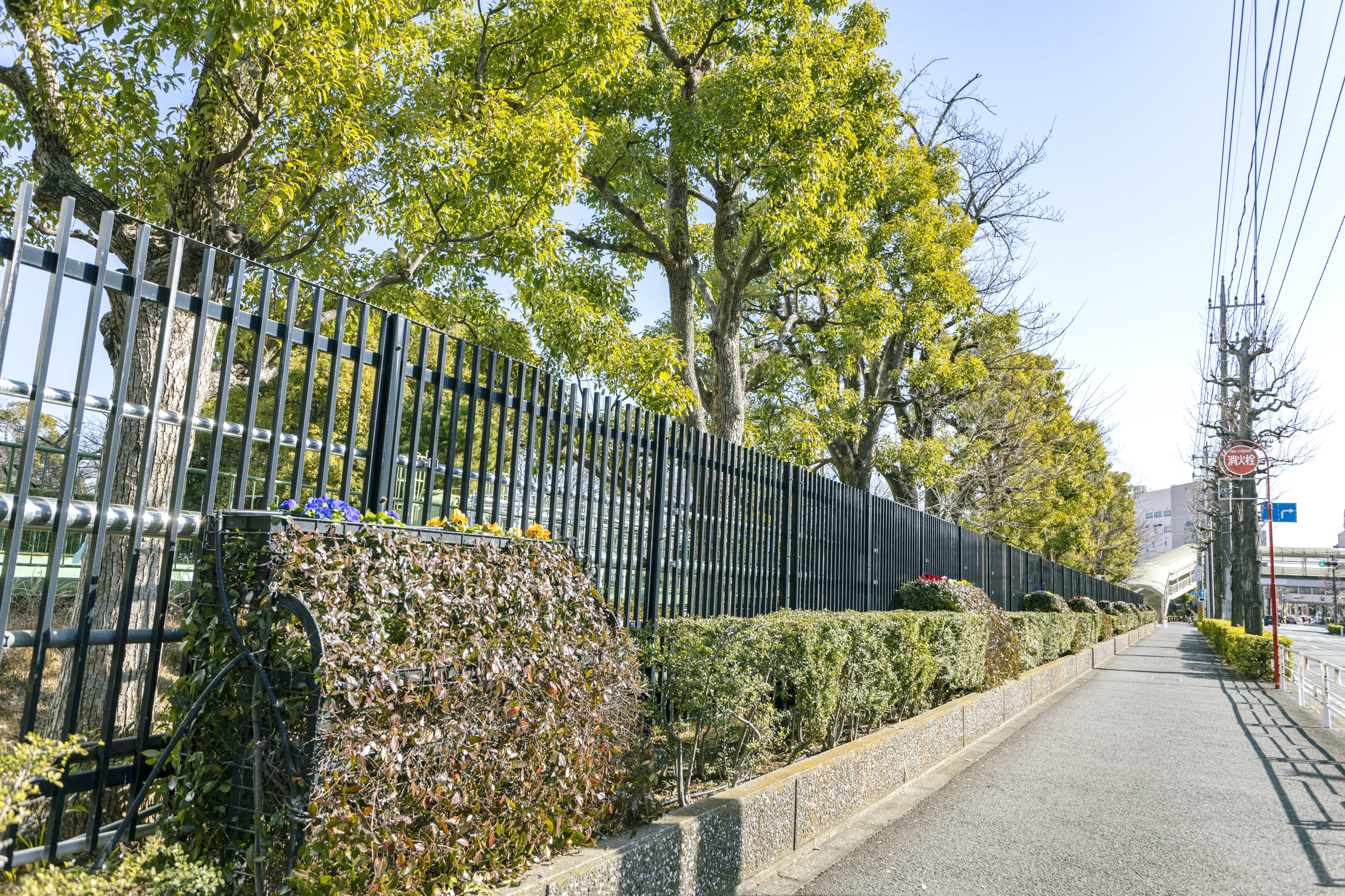 現地周辺（約920m／徒歩12分）