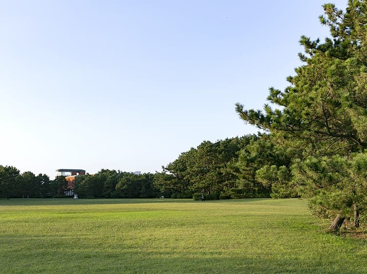 稲毛海浜公園（自転車10分・約2.4km）