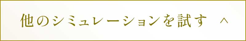 他のシミュレーションを試す