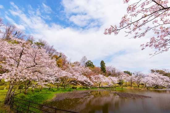 卯辰山公園