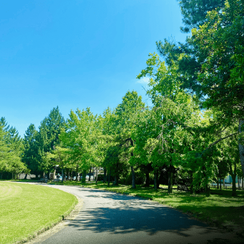 駅西中央公園［徒歩5分／約370m］