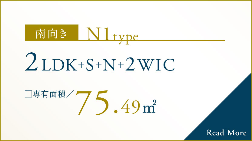 N1type