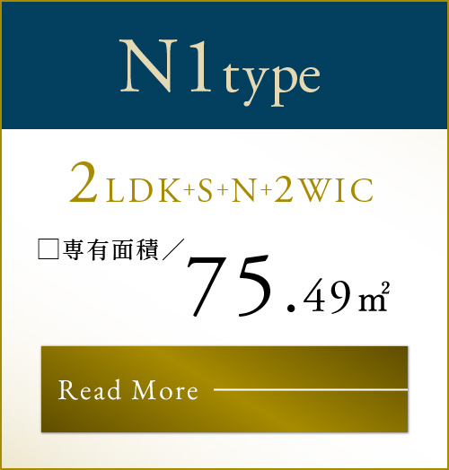 N1type